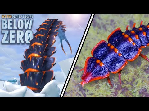 Subnautica Below Zero Creatures In Real Life! | Creature Counterparts