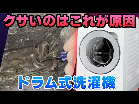 【衝撃映像】あなたのドラム式洗濯機、ホコリとヘドロの巣窟だった！生乾き・ニオイの原因と対処法をプロが徹底解説｜大阪府
