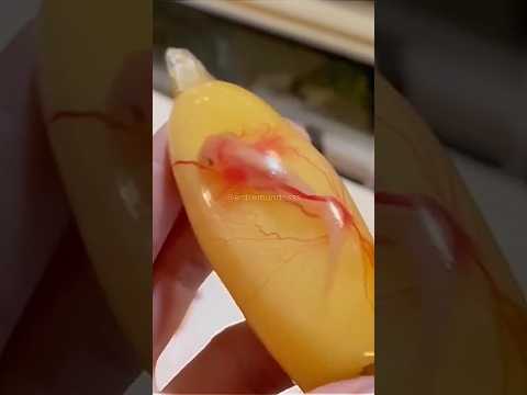 Os ovos mais exclusivos do mundo! #animais #bichos #curiosidades