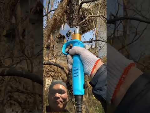 Thường Xuyên Cắt Tỉa Cây Cảnh Hãy Dùng Chiếc Kéo Này #tools