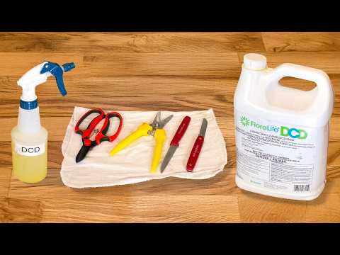 Clean your Floral Tools