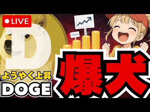 仮想通貨最新動向と注目通貨のポイント解説 サムネイル