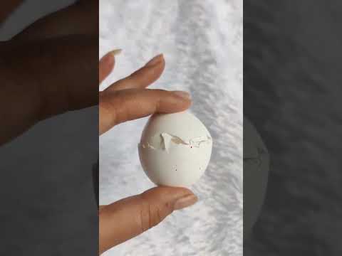 babyshort।।short।।