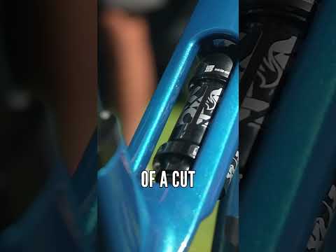 The New Polygon Siskiu TLE-R Spotted At Sea Otter
