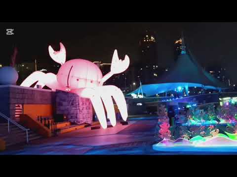 Night walk at Sea side/Christmas day 2024