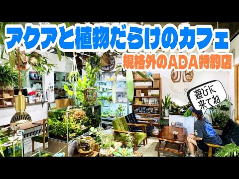日本に唯一のADA特約店のカフェ！アクアリウムと植物だらけの癒し空間（グリーンウィズグッドコーヒーに癒されにきませんか？）