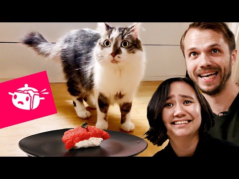 We Tried To Make Sushi For Our Cats ? Tasty