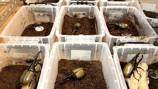 動画サムネイル