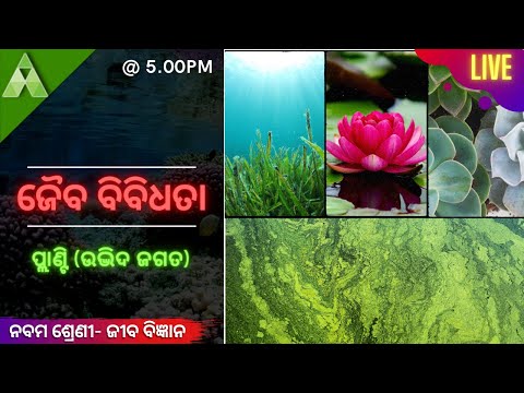 Aveti Live Class-IX|27th April| ପ୍ଲାଣ୍ଟି (ଉଦ୍ଭିଦ ଜଗତ|Plant Kingdom|Class 9 SCL