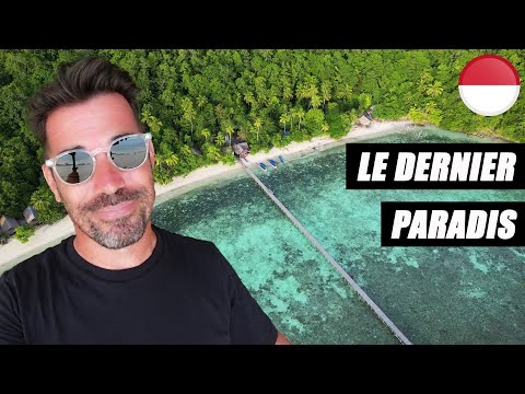 LE DERNIER PARADIS SUR TERRE ! ???????? (RAJA AMPAT)  | ...