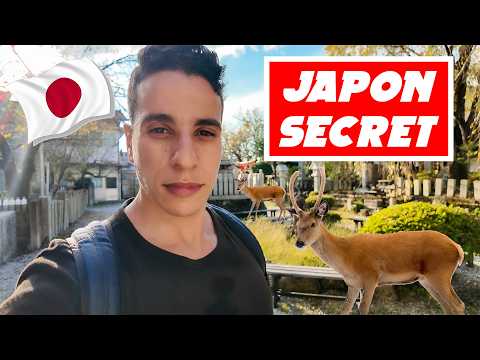 Une alternative inconnue des touristes au Japon !