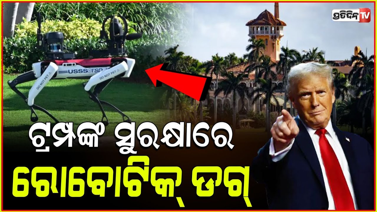 ଶତ୍ରୁ ଙ୍କୁ ନଜର ରଖିଛି ଟ୍ରମ୍ପଙ୍କ ରୋବୋଟିକ୍ ଡଗ୍ l Robot dogs now guarding Donald Trump house