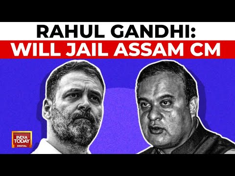 Rahul Gandhi's "Will Jail Assam CM" Vow; Himanta Sarma Hits Back On Bail Status | India Today News