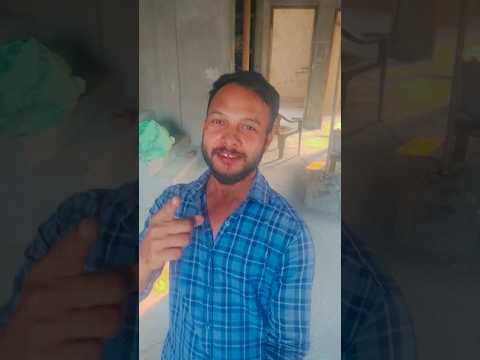 #hindisong #song #love #bollywood #bollywoodsongs #animals #comedy #baffalo #cowcartoon #cow