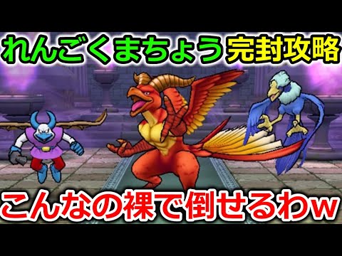 【ドラクエウォーク】れんごくまちょう、完封攻略！みんな使えるぶっ壊れ技のコンボが強すぎるんですｗｗ