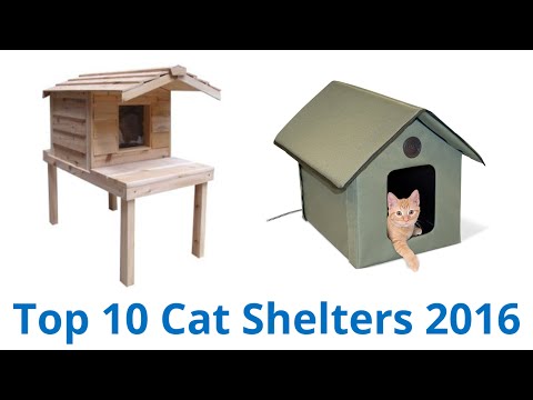 10 Best Cat Shelters 2016 - UCXAHpX2xDhmjqtA-ANgsGmw