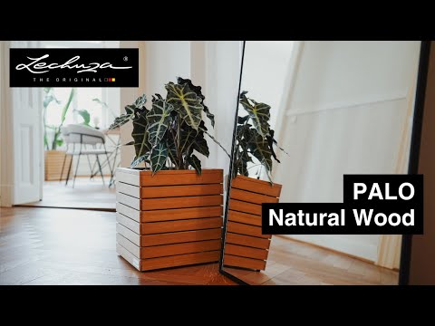 PALO Natural Wood | LECHUZA
