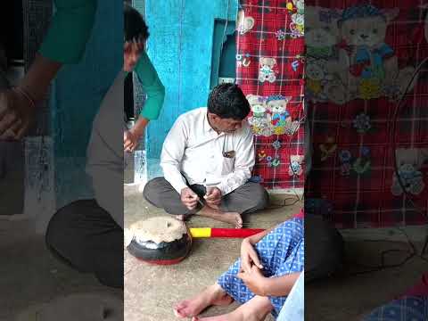 तमूरा भजन