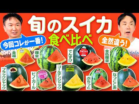 【スイカ】かまいたちが旬のスイカを食べ比べてみたらエモい気持ちになった！