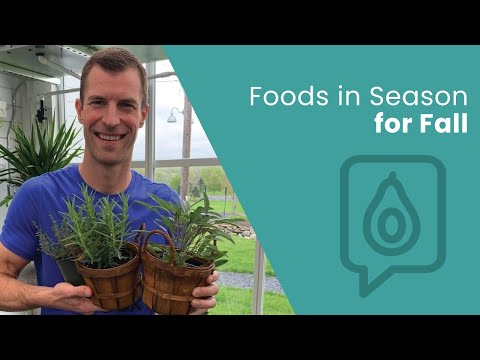 Best Foods in Season for Fall | Dr. Josh Axe