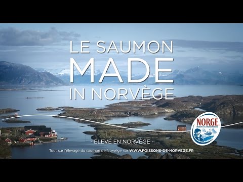 Saumon Made In Norvège