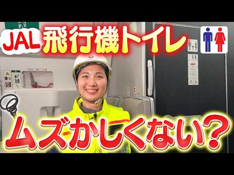 これを見れば機内限定でトイレの神様になれます