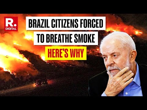 Brazil Fights To Save World's Largest Tropical Wetlands | Record Fires Trigger Climate Alarm