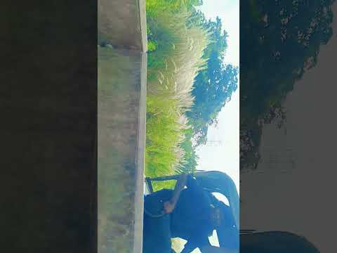 #bhojpurisong #song #love #adhuniknagpurisong #bolleywoodsong