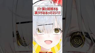 Q.パト猫と結婚する裏ワザあるってマジ!? #猫元パト #VTuber #Shorts #質問