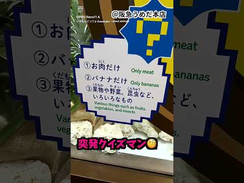 thumbnail_3__3Irk1U24