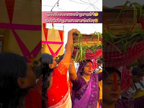 पूजा महतो ने किया छठ घाट का दौरा🥰|| छठ महापर्व 2025🔥||#chathpuja #pujamahato #chathpoojasong #shorts