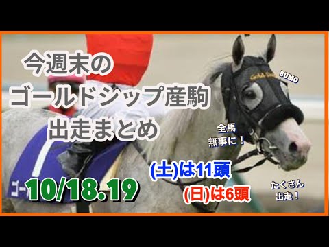 【ゴールドシップ】今週末のゴールドシップ産駒の出走情報！たくさん出走楽しみ♪