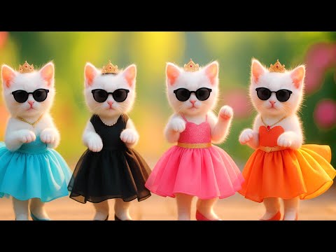 बिल्ली  डांस,💃| Cutest Cat videos funny dance 🤣 💃 Videos for cats #funny #dancingcat #cat