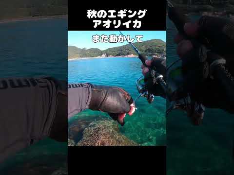 thumbnail_3a0nWH-dilI