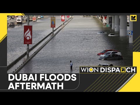 Dubai floods: UAE struggles to clean up post floods | WION Dispatch