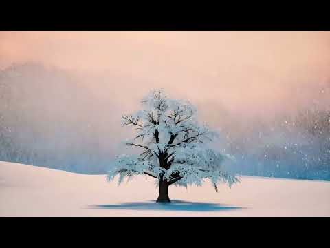 A Full Day of Snowy Lo-Fi Beats Mix
