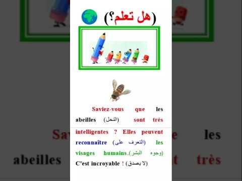 تعلم اللغة الفرنسية : تعلم وثقافة بالفرنسية مع الترجمة 01. #تعلم_اللغة_الفرنسية #apprends #تعلم