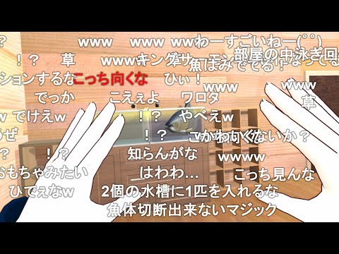 【コメ付き】女の子のために釣った魚がバグってキモ過ぎるんだが....【VRゆったりライフ】