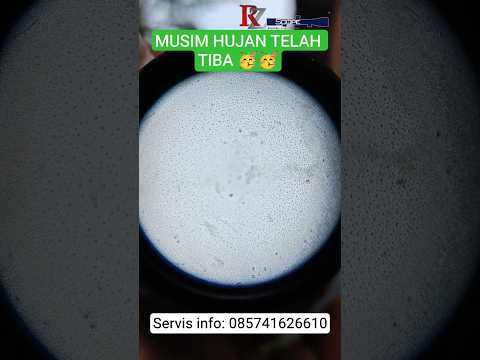 Vector Orion Max #vectoroptics #marcool #swampdeer #servisteleskop #teagle #westhunter #teleskop