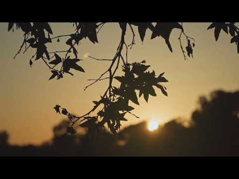 AUTUMN'S LOVE | Maryna Akram | @elidanieli2504Eli Danieli
