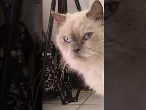 kaki dia tuh kotor, masuk kamar baee😭