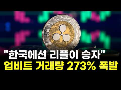 "한국에선 리플이 승자"…<strong>업비트</strong> 거래량 273% 폭발