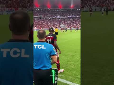 Melhor atacante do Flamengo 😂. #flamengo #palmeiras #brasileirao #viral #sora2