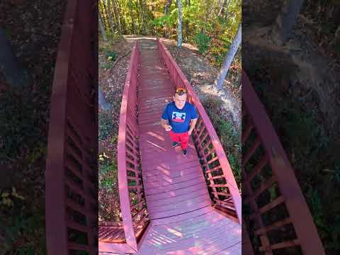 🌞 ¡A Despertar con Sonrisa! Día Nuevo, Energía Nueva 💛