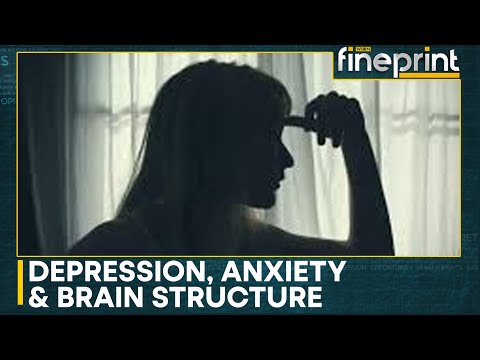 Teen girls' brains show rapid ageing after social isolation during Pandemic | WION Fineprint