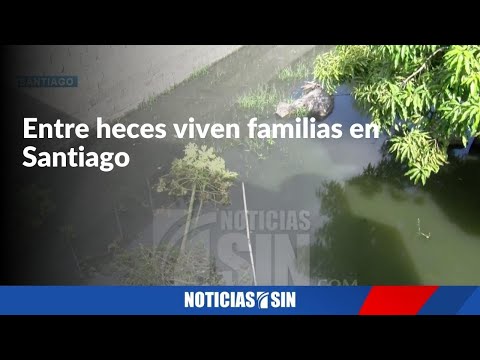 Entre heces viven familias en Santiago