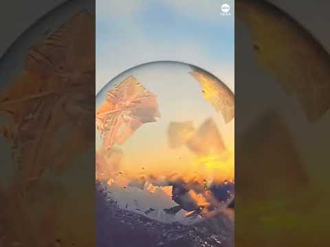 Ice crystals form pattern on freezing bubble