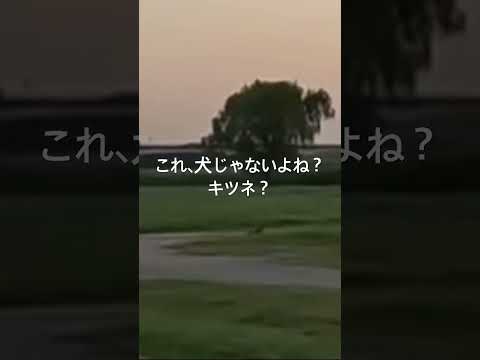 2025年7月21日