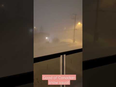 Driving in a snow squall SUCKS visibility goes to  