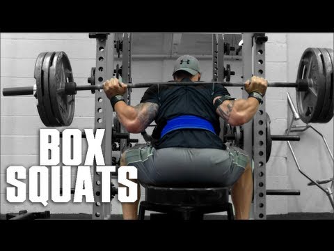 Box Squats - UCNfwT9xv00lNZ7P6J6YhjrQ